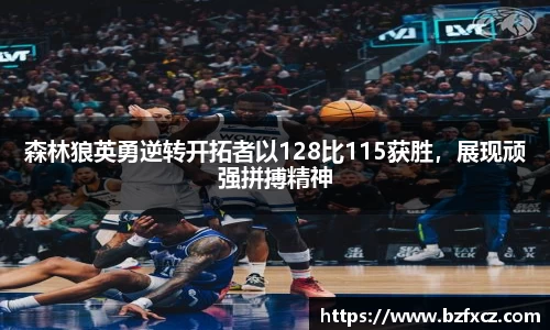 3377体育官网