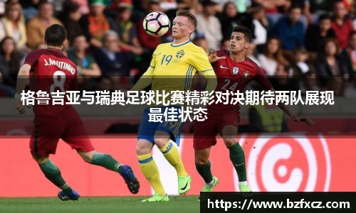 3377体育官网
