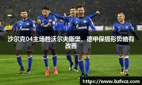 沙尔克04主场胜沃尔夫斯堡，德甲保级形势略有改善