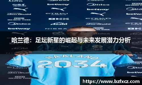 3377体育官网